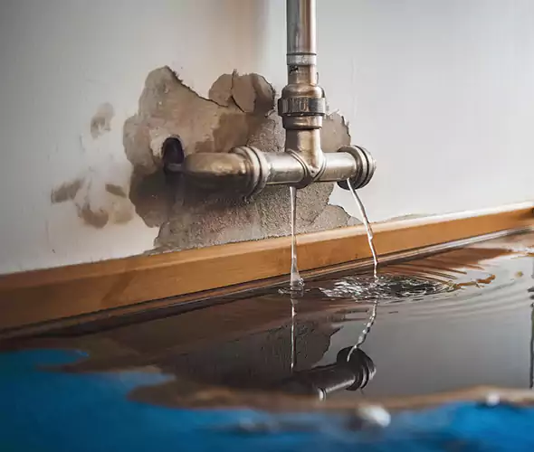 Professional Water Damage Restoration Experts in Dallas, TX — Fast, Reliable & Certified