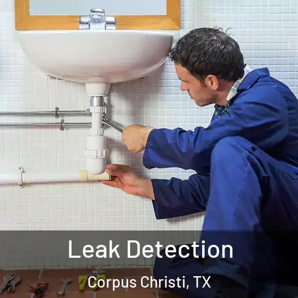  Leak Detection Corpus Christi, TX
