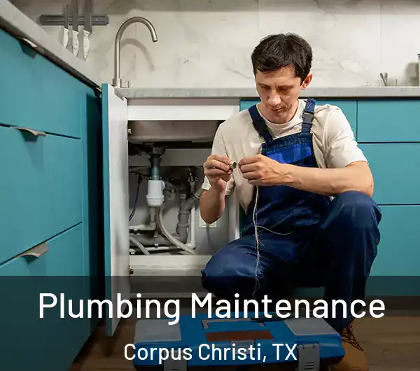  Plumbing Maintenance Corpus Christi, TX