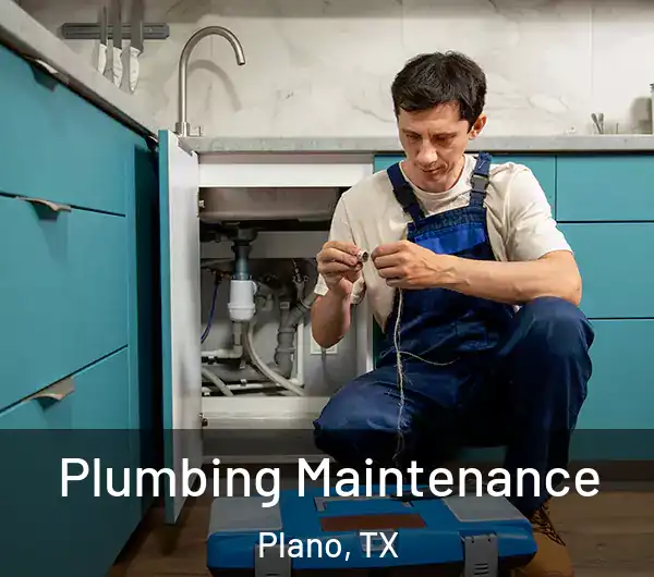  Plumbing Maintenance Plano, TX