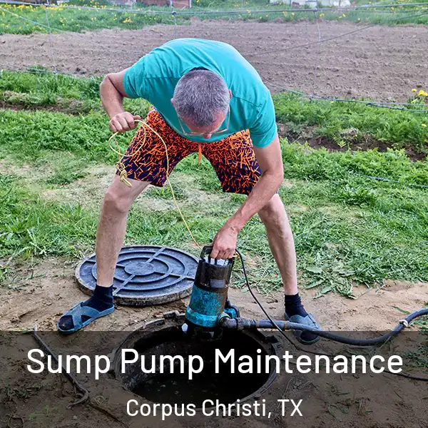  Sump Pump Maintenance Corpus Christi, TX