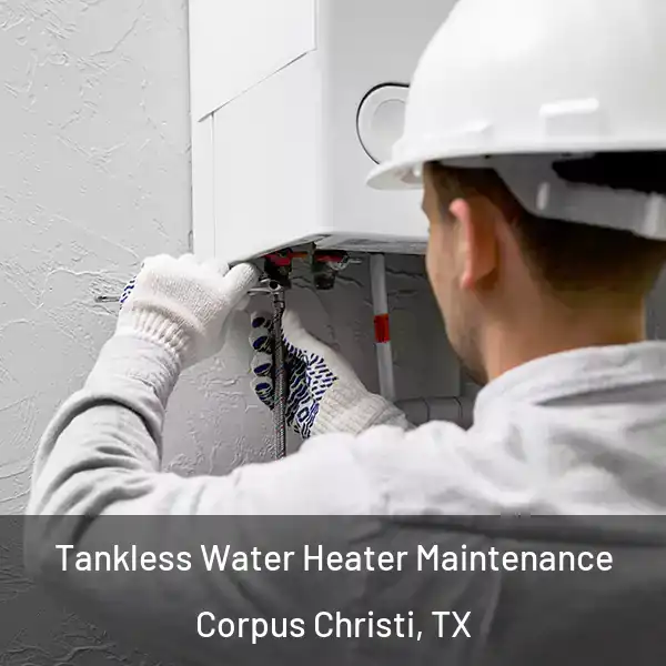 Tankless Water Heater Maintenance Corpus Christi, TX