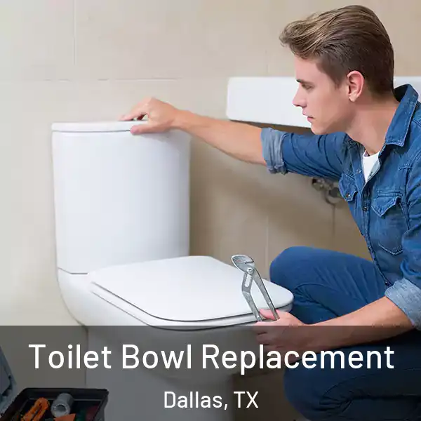  Toilet Bowl Replacement Dallas, TX