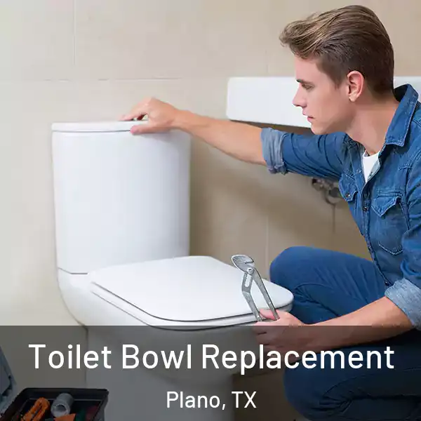 Toilet Bowl Replacement Plano, TX