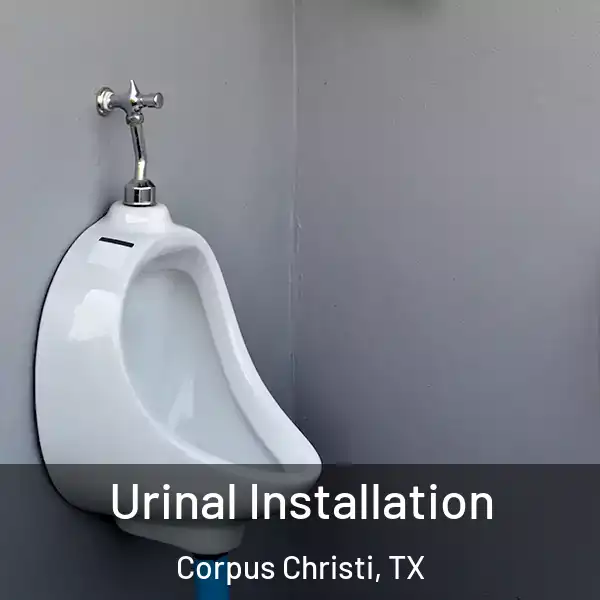  Urinal Installation Corpus Christi, TX
