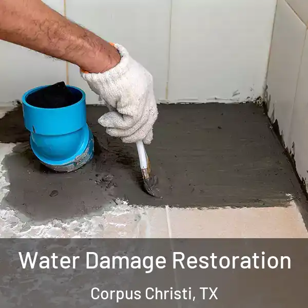  Water Damage Restoration Corpus Christi, TX