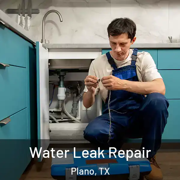  Water Leak Repair Plano, TX